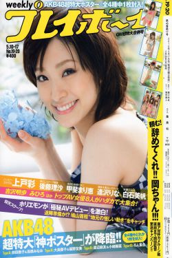 招惹电视剧